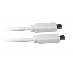 Câble USB-C mâle/USB-C mâle 2.0 - 1 m - blanc