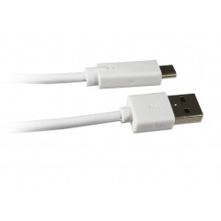 Câble USB-C mâle/USB-A mâle 2.0 - 1 m - blanc