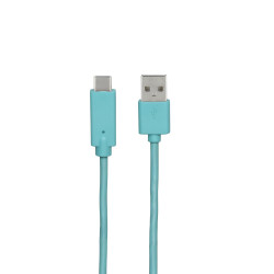 Câble USB-C /USB-A 2.0 - 1 m - vert mint