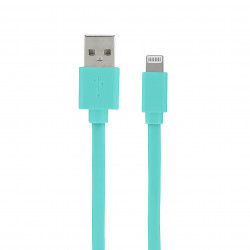 Câble MFI / USB-A plat pour iPhone iPad 1 m - vert peppermint