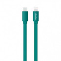 Câble MFI / USB-C plat pour iPhone iPad 1 m - vert quetzal