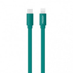 Câble MFI / USB-C plat pour iPhone iPad 1 m - vert quetzal